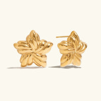 [LOVE LUCKY]Thymes Gold Star Earrings
