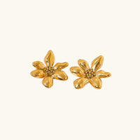 [LOVE LUCKY]Cadence Gold Earrings